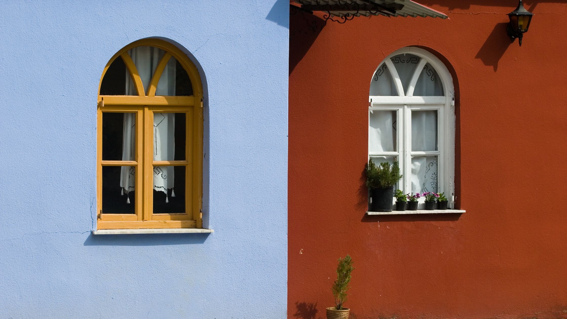 Contraste, ¿qué es y cómo usarlo en tus diseños?